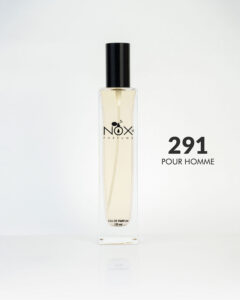 291 RAIN SPIRIT