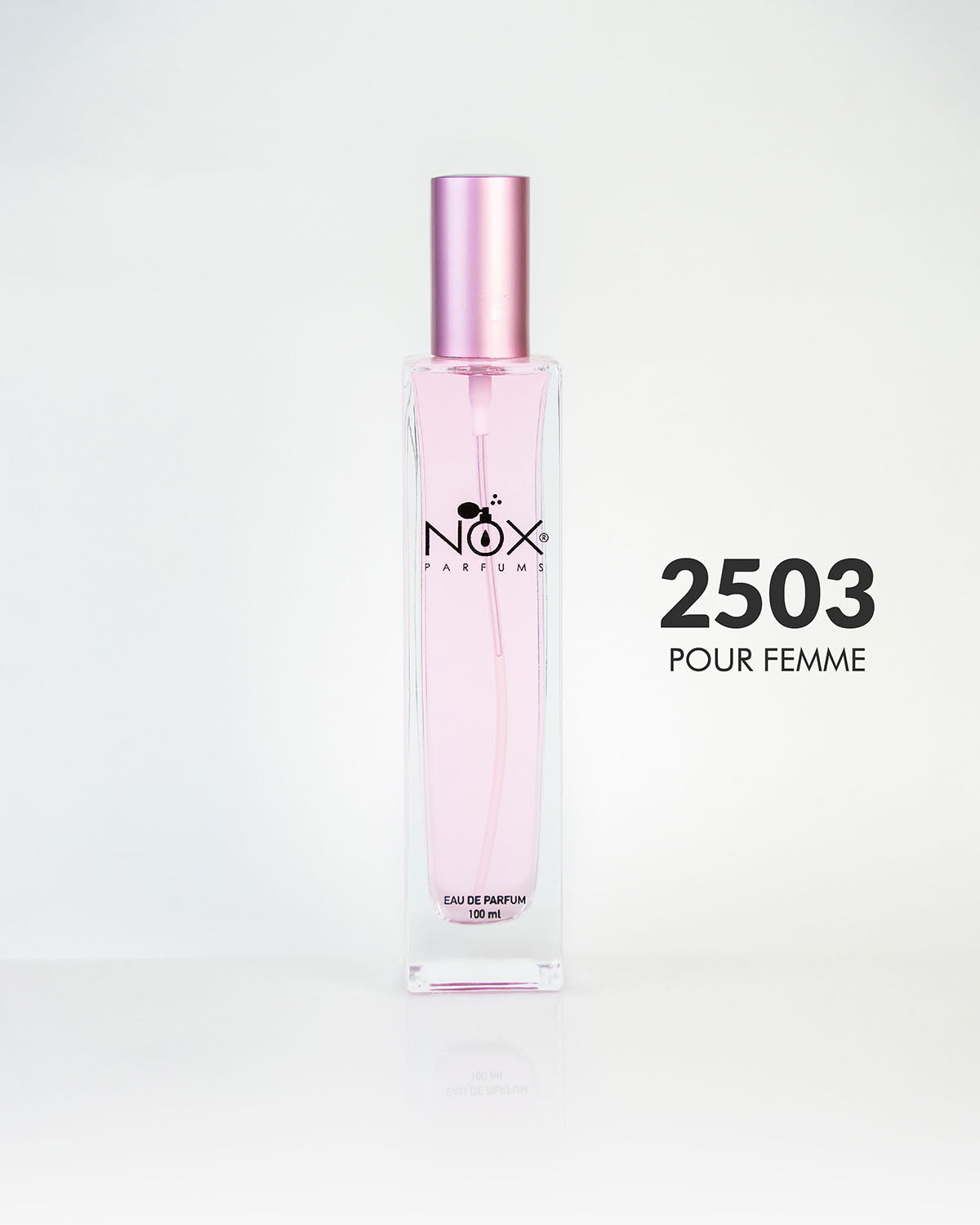 2503 MODERN PARADOX