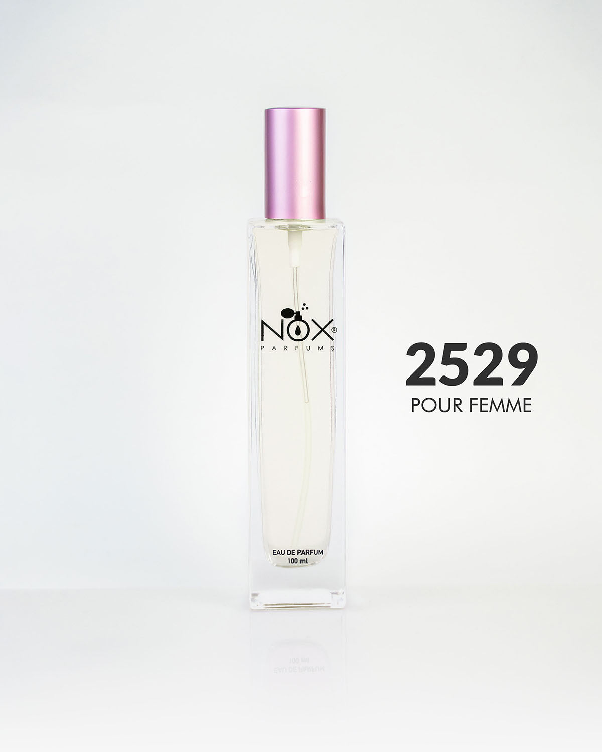 2529 PURPLE ELEGANCE