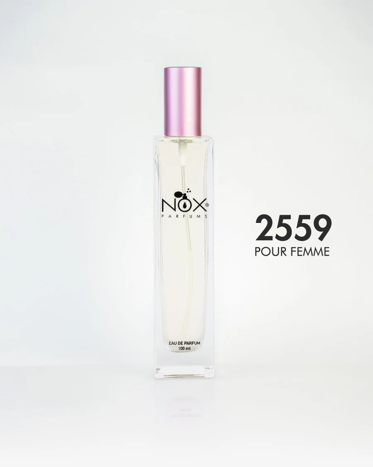 2559 POWER WITHIN