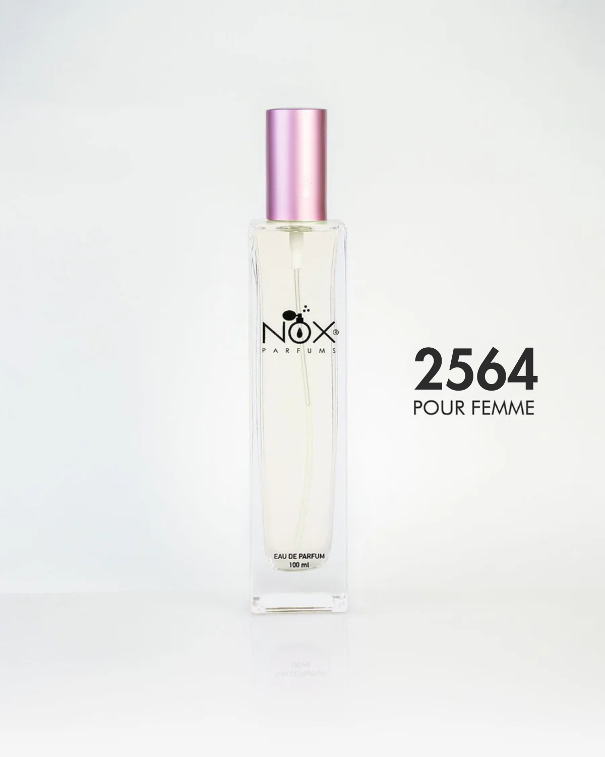 2564 MODERN MUSE