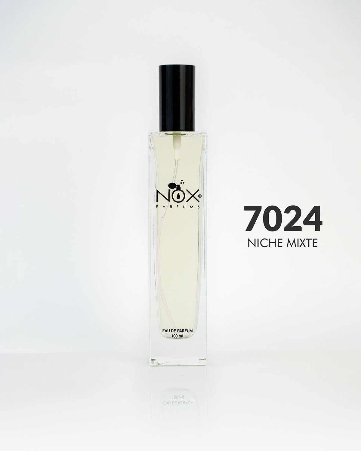 7024 HIBISCUS ROUGE