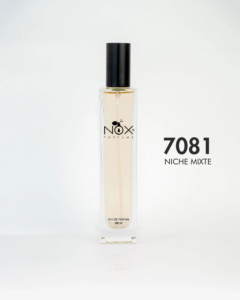 7081 INNER GUIDANCE