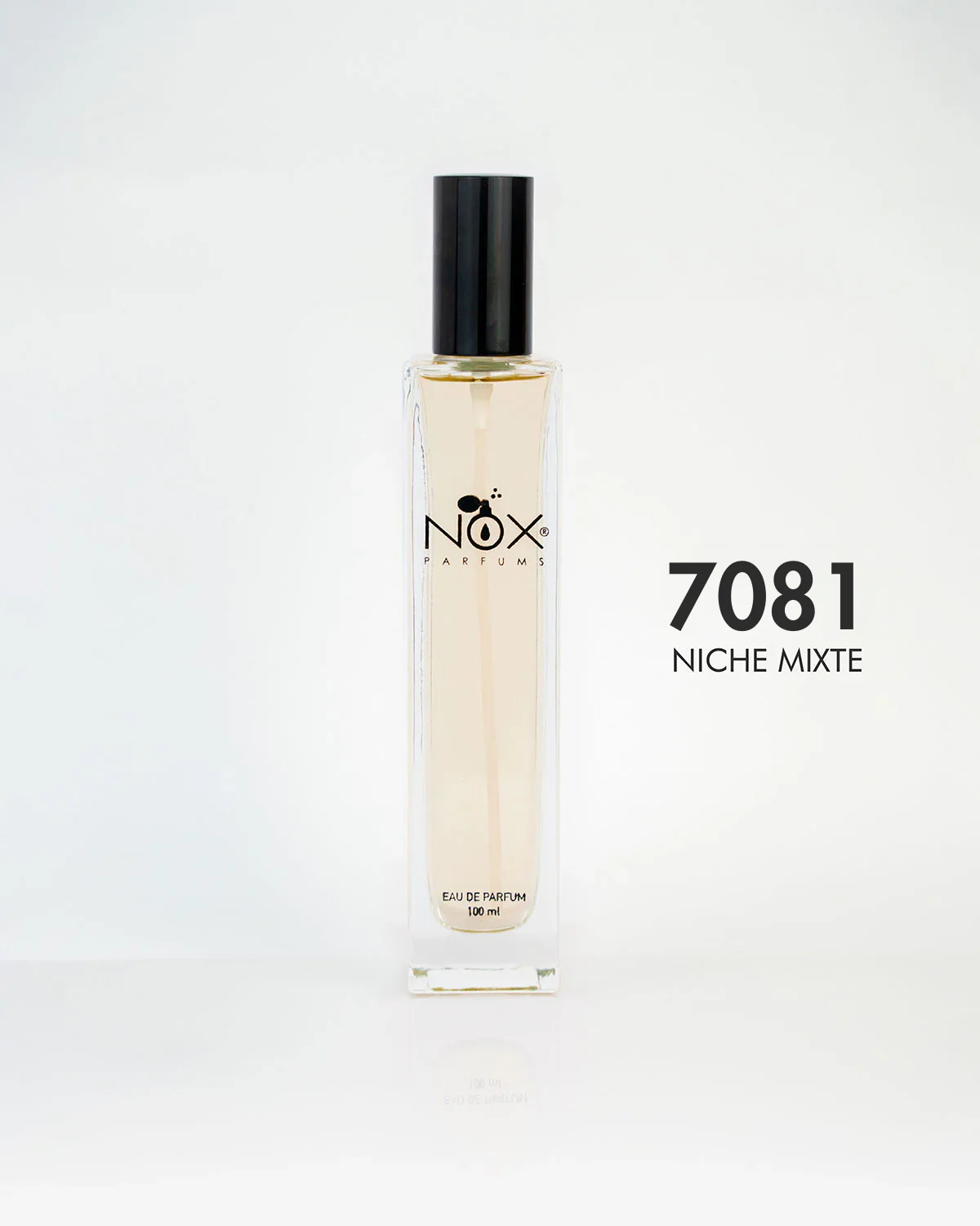 7081 INNER GUIDANCE