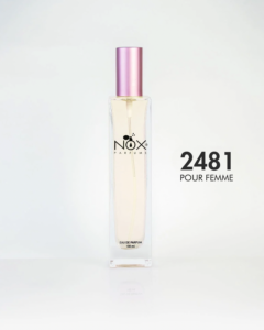 2481 MY JOURNEY