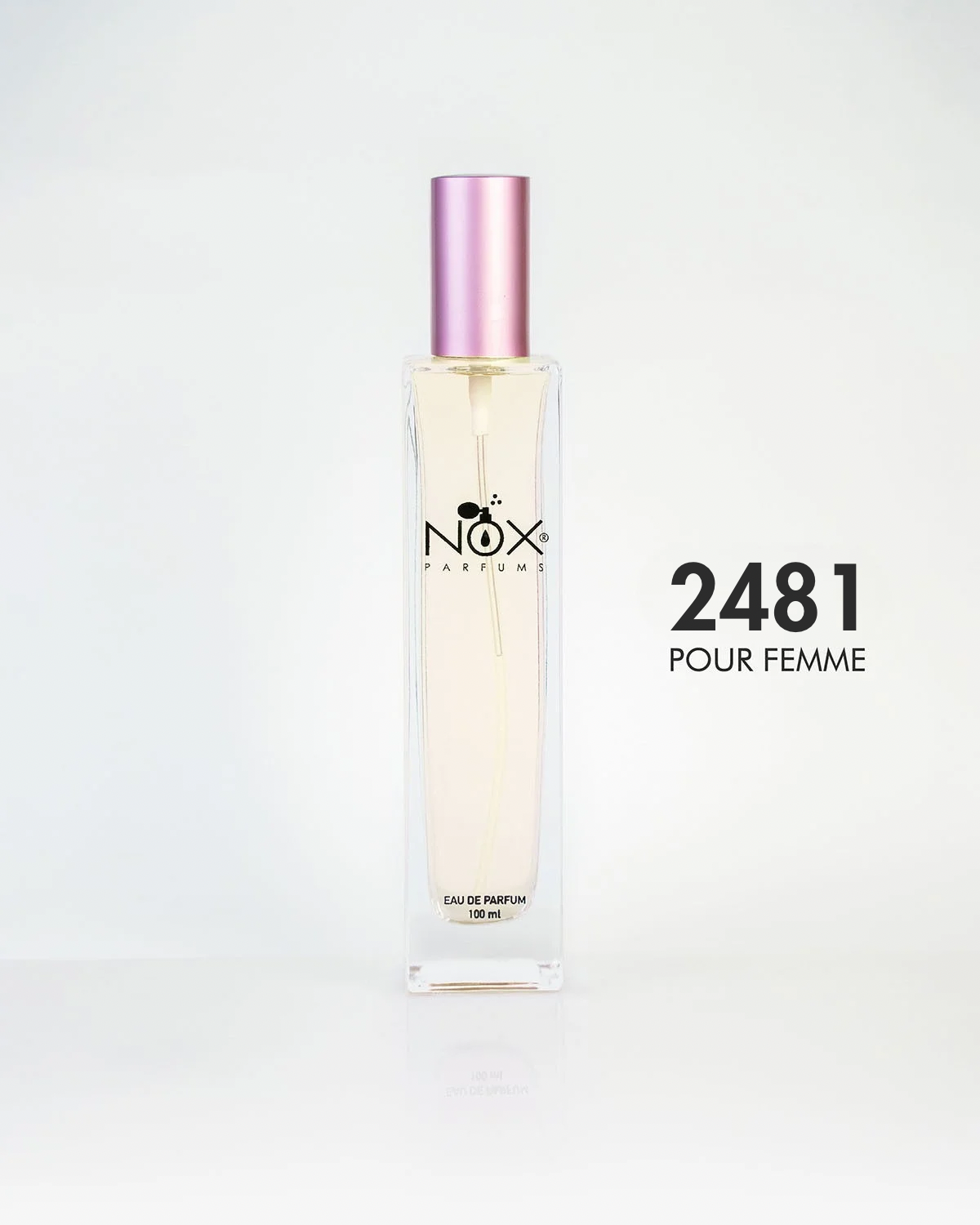 2481 MY JOURNEY