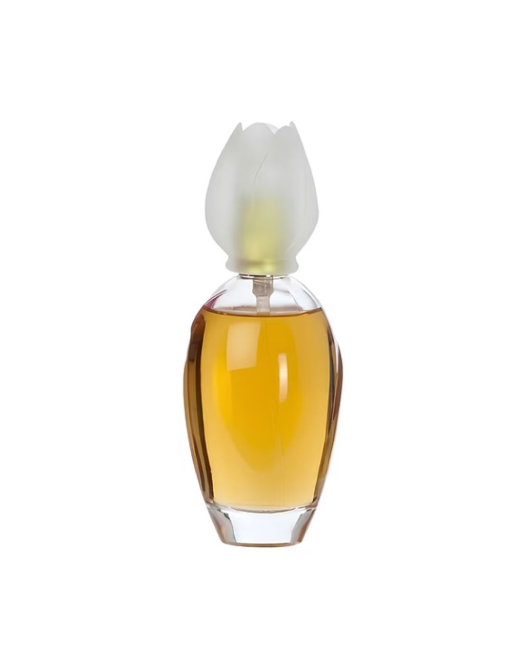 Narcisse - Chloé