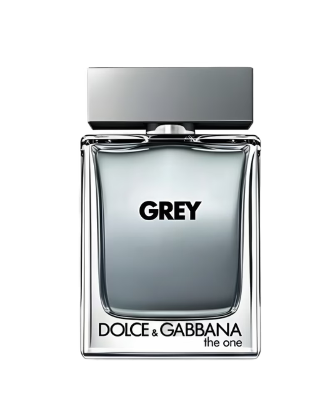 The One Grey - Dolce & Gabbana