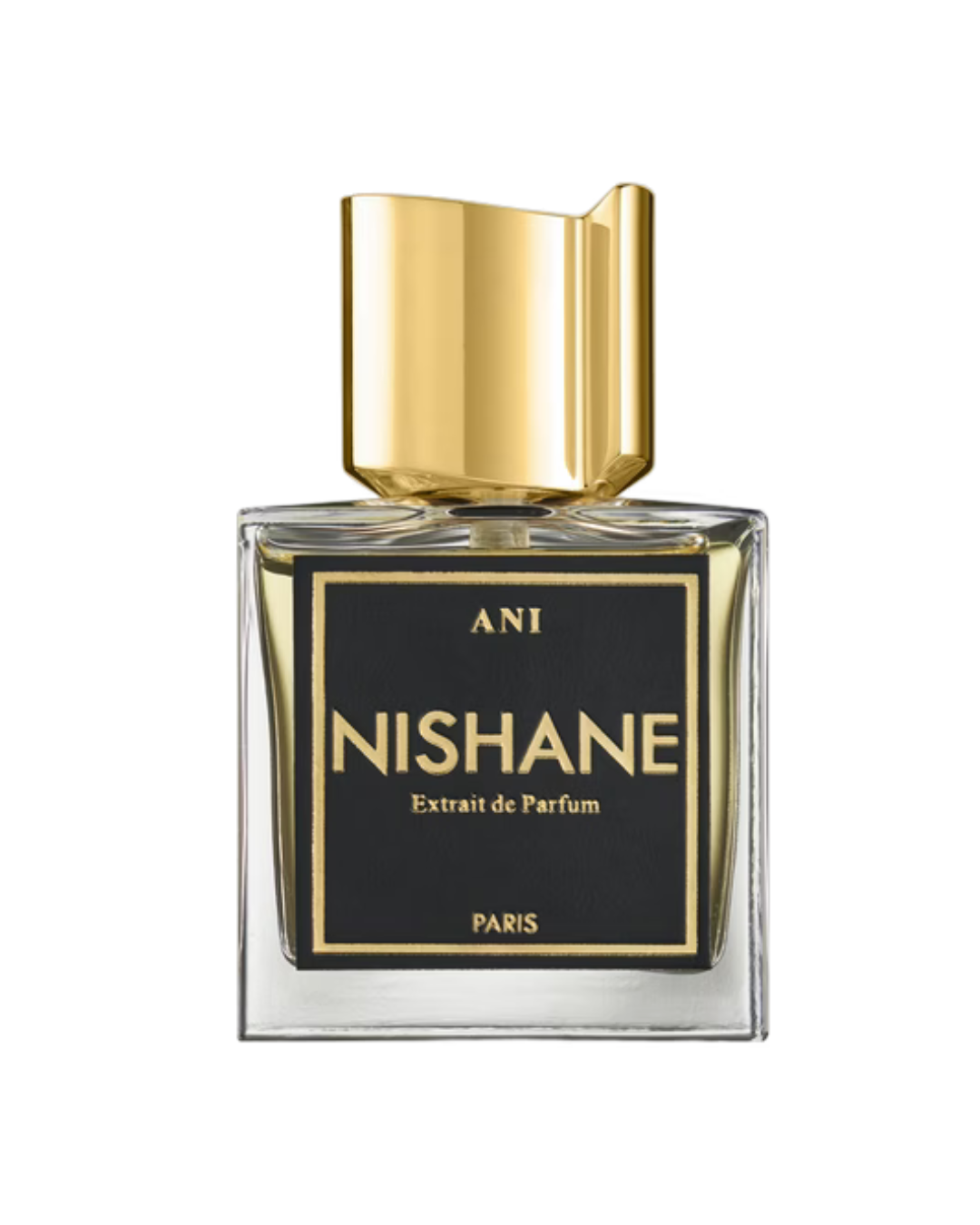 Ani - Nishane